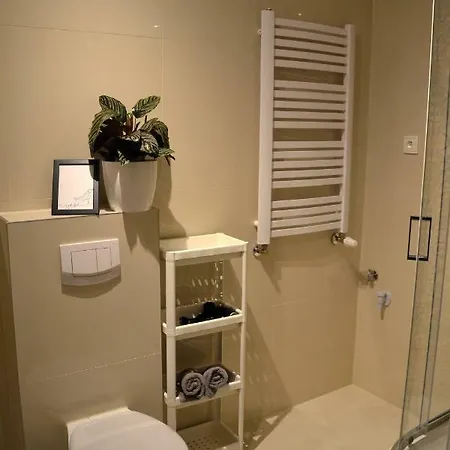 Apartment Zielone Swieradow-Zdroj