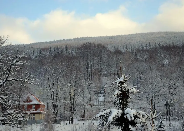 Zielone Διαμέρισμα *