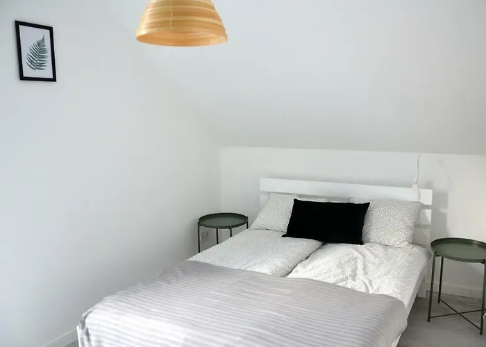 Zielone Διαμέρισμα Świeradów-Zdrój