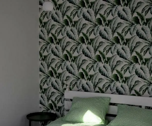 Zielone Διαμέρισμα *